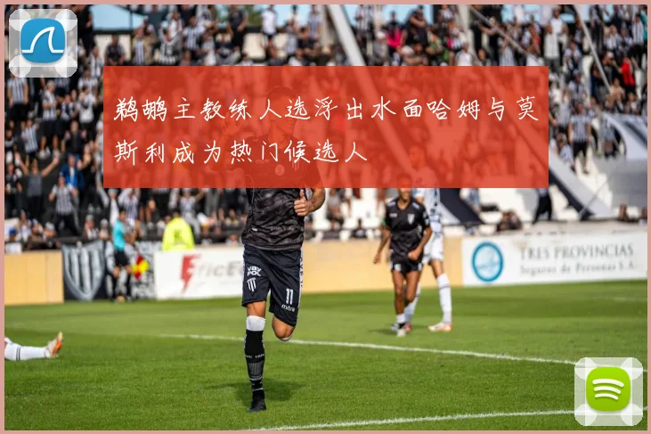 鹈鹕主教练人选浮出水面哈姆与莫斯利成为热门候选人